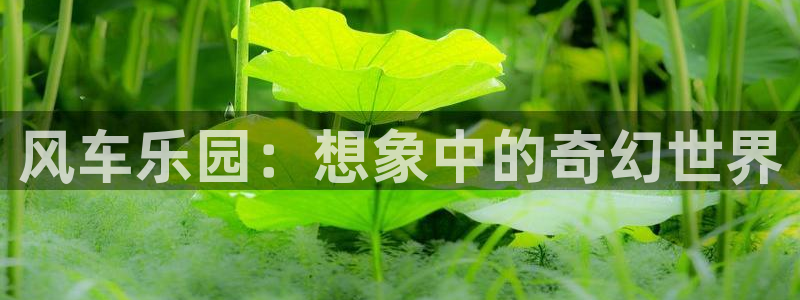 动漫里番 在线观看：风车乐园：想象中的奇幻世界配图