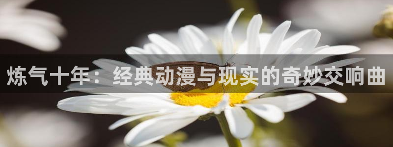儿童里番动漫在线观看：炼气十年：经典动漫与现实的奇妙交响曲配图