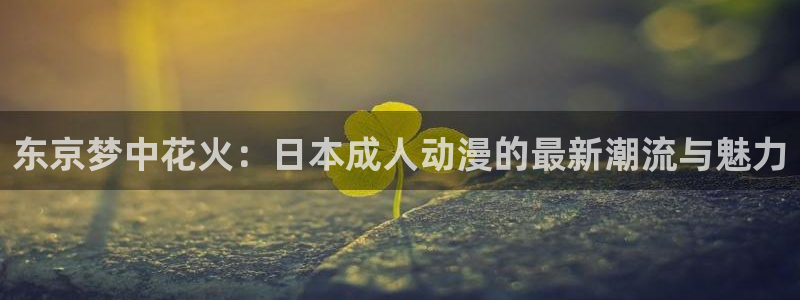 里番午夜动漫在线观看：东京梦中花火：日本成人动漫的最新潮流与魅力配图