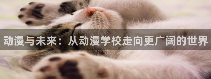 绅士里番动漫在线观看:动漫与未来:从动漫学校走向更广阔的世界配图