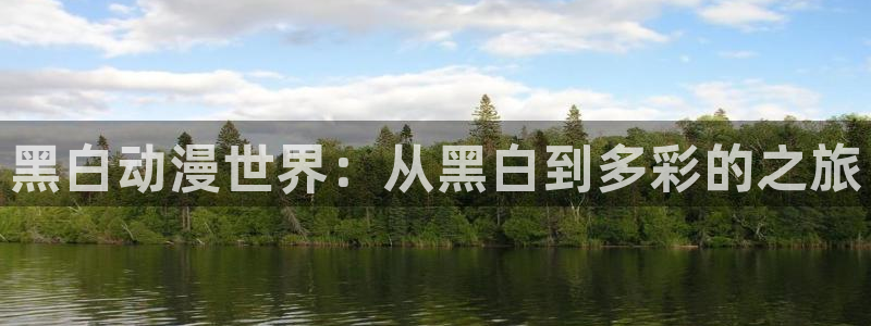 3d动漫里番在线观看：黑白动漫世界：从黑白到多彩的之旅配图