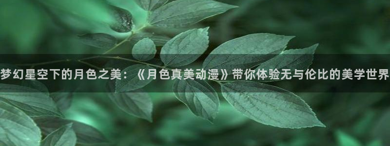 里番肉番动漫在线观看:梦幻星空下的月色之美:《月色真美动漫》带你体验无与伦比的美学世界配图