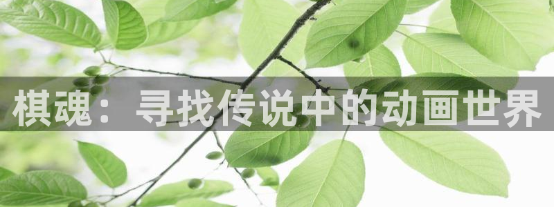 动漫里番AV在线观看:棋魂:寻找传说中的动画世界配图
