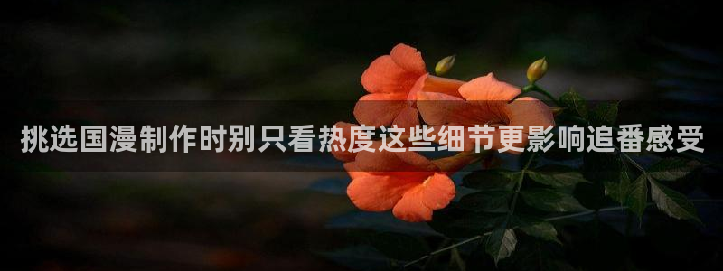 里番肉动漫在线观看:挑选国漫制作时别只看热度这些细节更影响追番感受配图