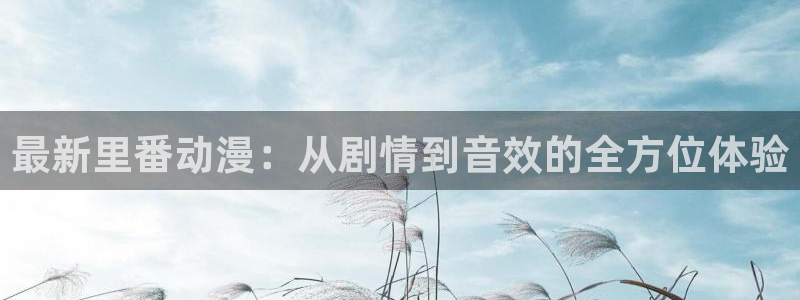 番里动漫在线观看:最新里番动漫:从剧情到音效的全方位体验配图