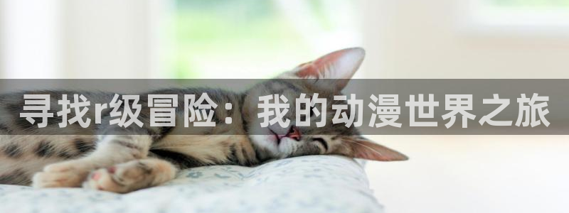 里有番动漫在线观看:寻找r级冒险:我的动漫世界之旅配图
