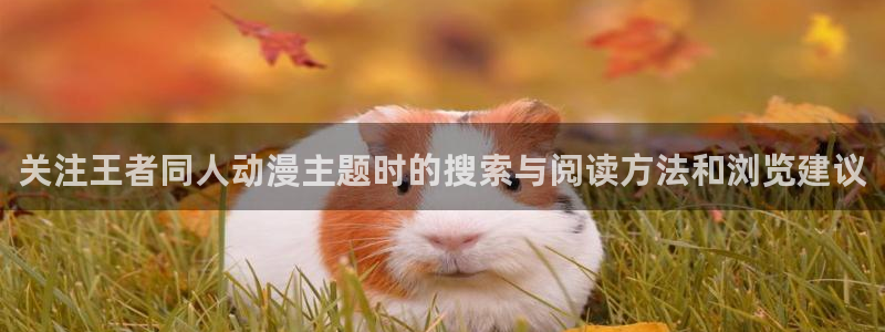 在线旧番里番动漫观看:关注王者同人动漫主题时的搜索与阅读方法和浏览建议配图