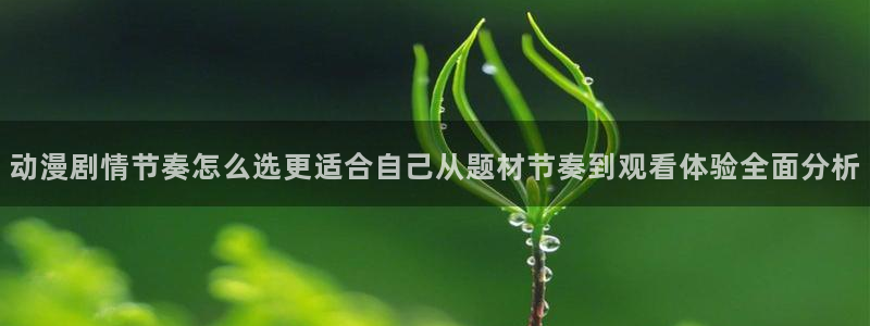 在线观看 里番动漫:动漫剧情节奏怎么选更适合自己从题材节奏到观看体验全面分析配图