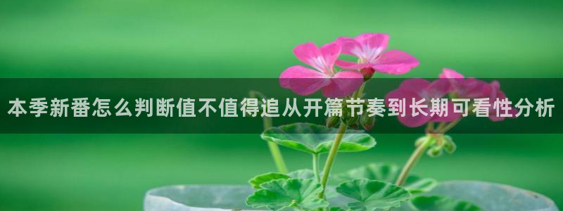 详细里番动漫在线观看:本季新番怎么判断值不值得追从开篇节奏到长期可看性分析配图